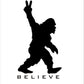 Bigfoot Yeti Believe Vinyl Sticker Decal Graphic | RV Slide Decal RV Door Decal Travel Trailer Camper motorhome sasquatch graphics big foot